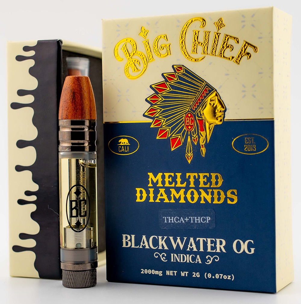 big chief disposable big chief disposable